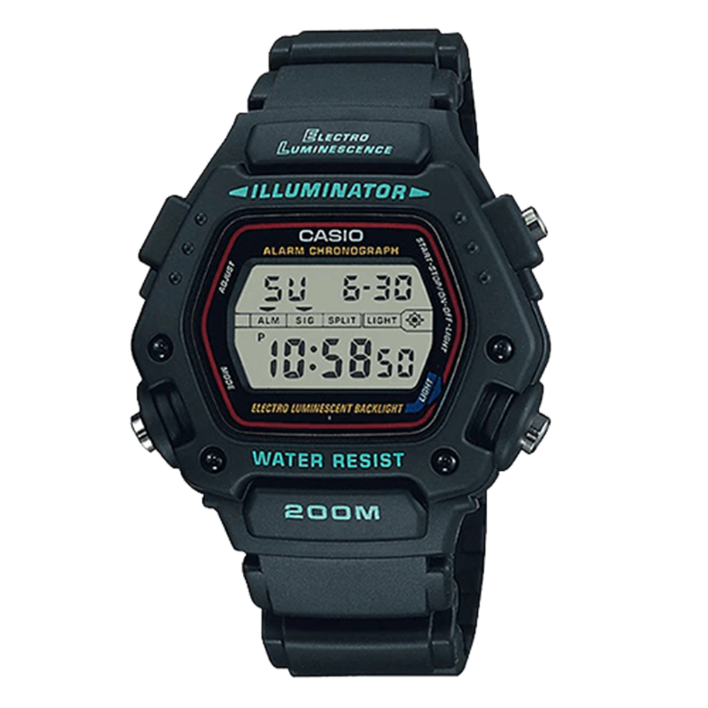 Casio DW-290-1V